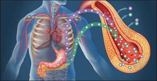 Image with missing alt attribute found on medivahospital.com