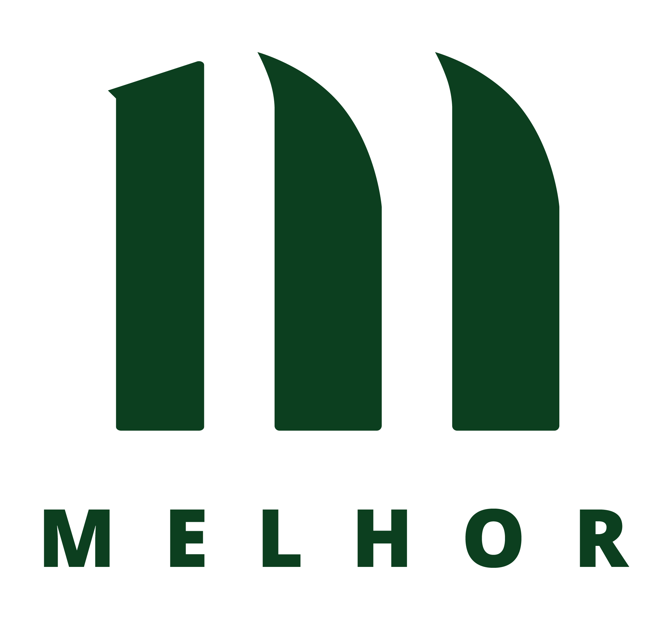 Image with missing alt attribute found on melhorgroup.com