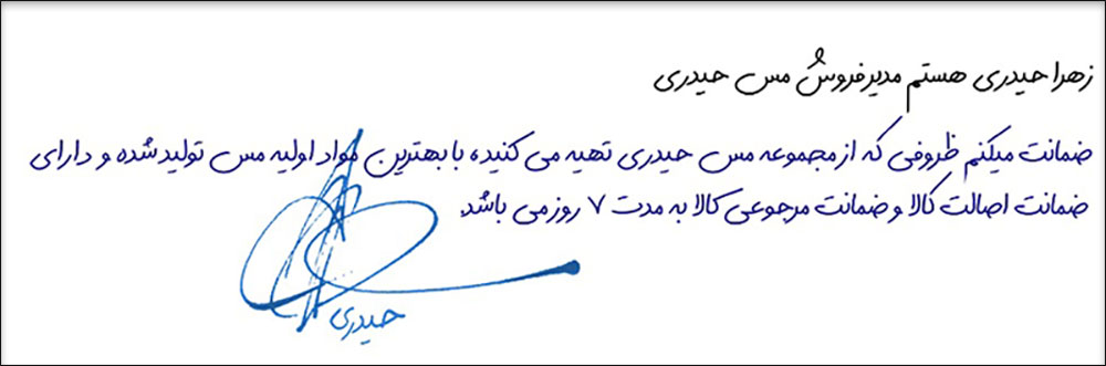 Image with missing alt attribute found on meseheydari.ir