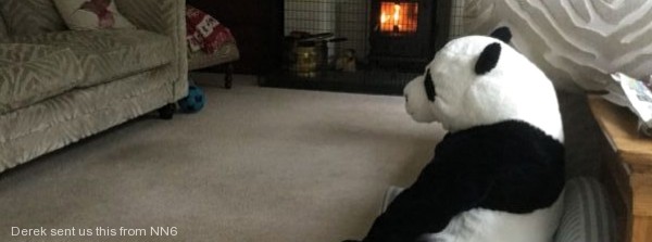 Image with missing alt attribute found on metcheck.com