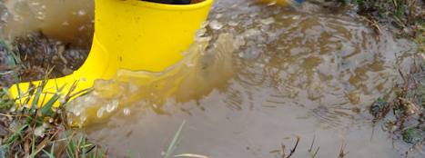 Image with missing alt attribute found on metcheck.com