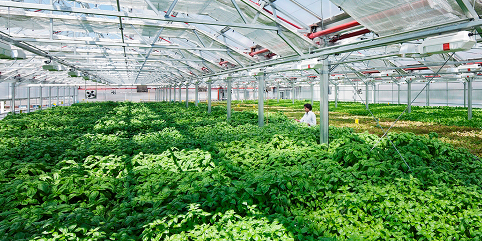 Image with missing alt attribute found on methodhome.com