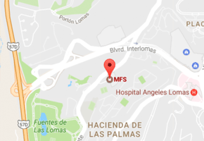 Image with missing alt attribute found on mfs.com