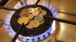 Image with missing alt attribute found on mi100.info