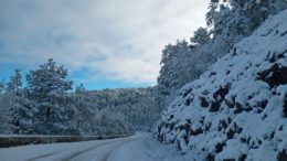 Image with missing alt attribute found on mi100.info