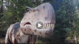 Image with missing alt attribute found on mi100.info