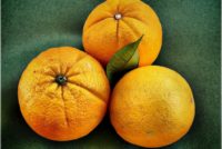 Gobernador Ron DeSantis nombr&oacute; a tres personas para la Comisi&oacute;n de C&iacute;tricos de Florida