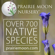 Shop for native seeds and plants at PrairieMoon.com!