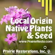 Prairie Restorations - Bringing people together with the land