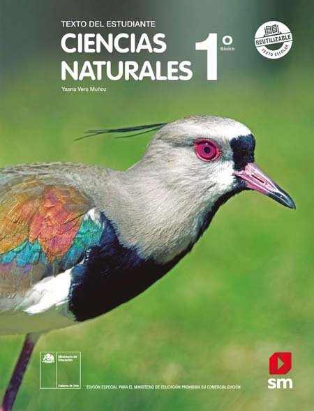 Libro de Ciencias Naturales 1&ordm; B&aacute;sico pdf para descargar