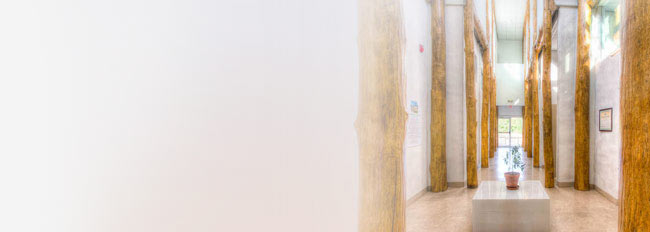 Image with missing alt attribute found on mum.edu