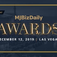 Image with missing alt attribute found on mjbizdaily.com