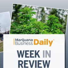 Image with missing alt attribute found on mjbizdaily.com