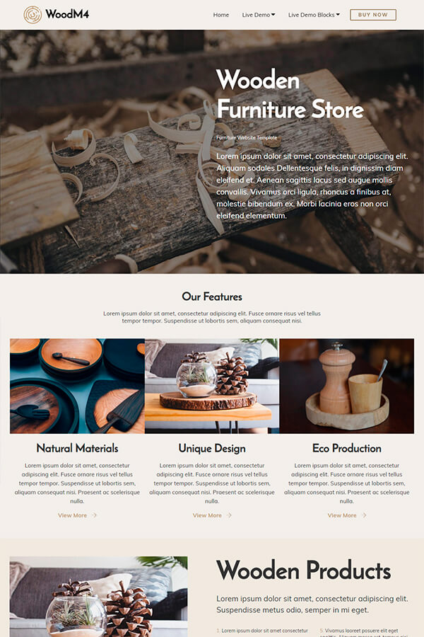 Furniture Website Template