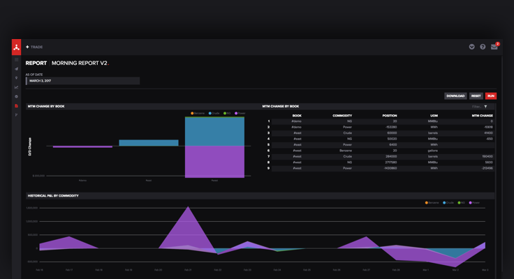 Image of an embedded report