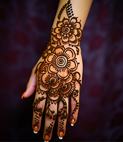 Image with missing alt attribute found on mojosaloon.com