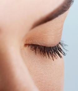 Image with missing alt attribute found on mojosaloon.com