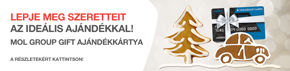 Frontpage / Gift card (Christmas 2017)