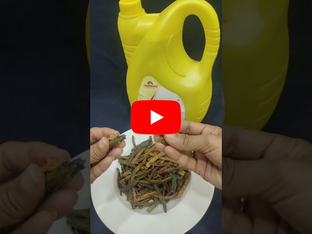 Image with missing alt attribute found on molimor.co