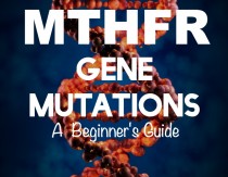 Image with missing alt attribute found on mommypotamus.com