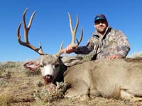 Image with missing alt attribute found on monstermuleys.com