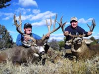 Image with missing alt attribute found on monstermuleys.com