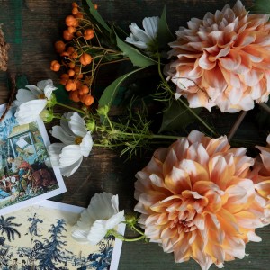 Image with missing alt attribute found on monticello.org