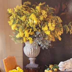 Image with missing alt attribute found on monticello.org