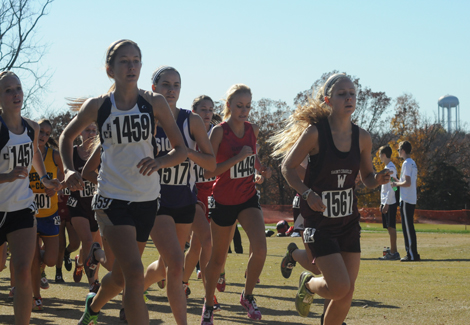 Image with missing alt attribute found on mshsaa.org