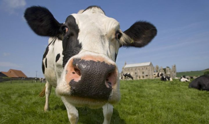 Image with missing alt attribute found on msry.org