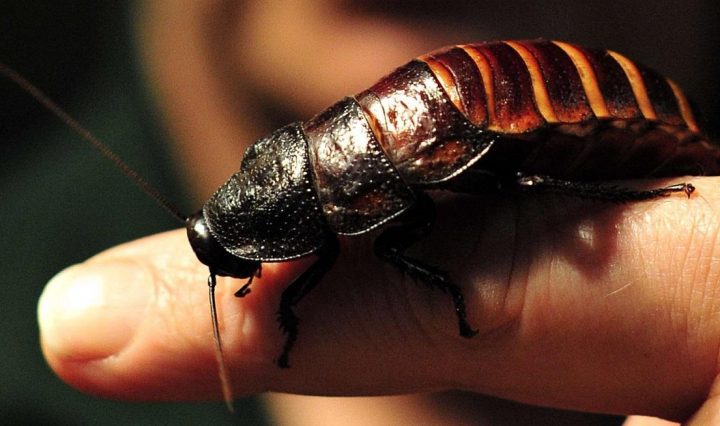 Image with missing alt attribute found on msry.org