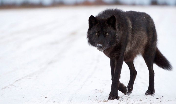 Image with missing alt attribute found on msry.org