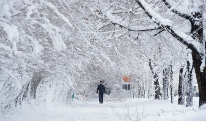 Image with missing alt attribute found on msry.org