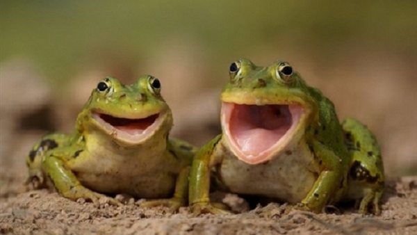 Image with missing alt attribute found on msry.org