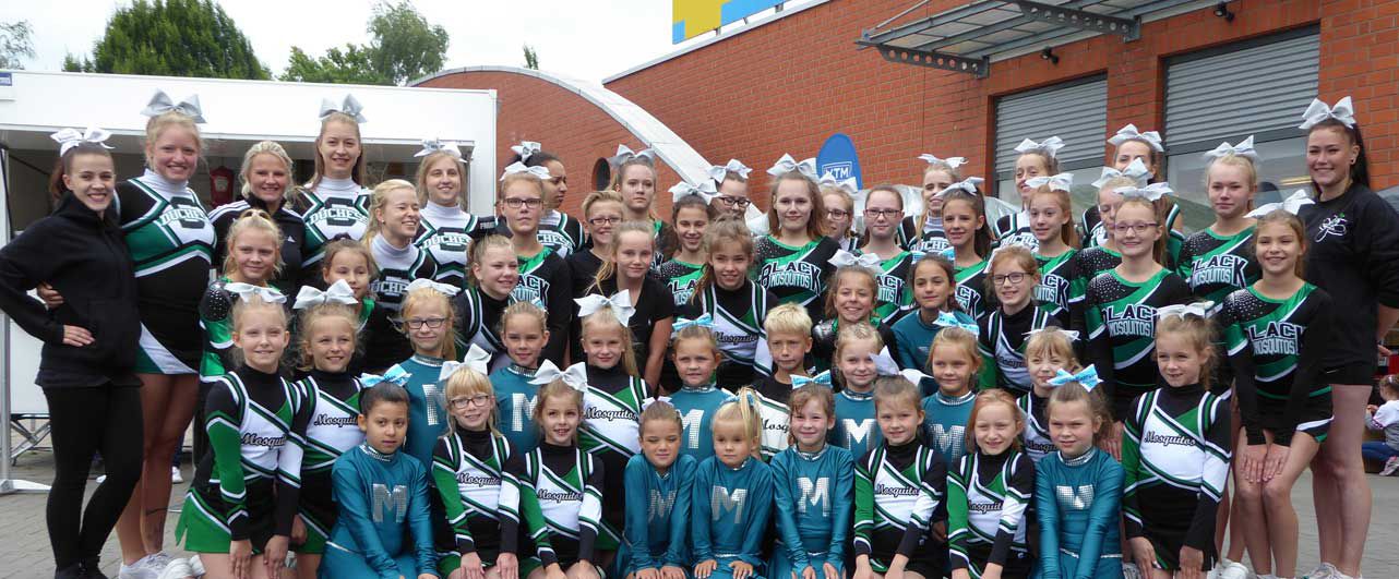 Image with missing alt attribute found on mtv-salzgitter.de