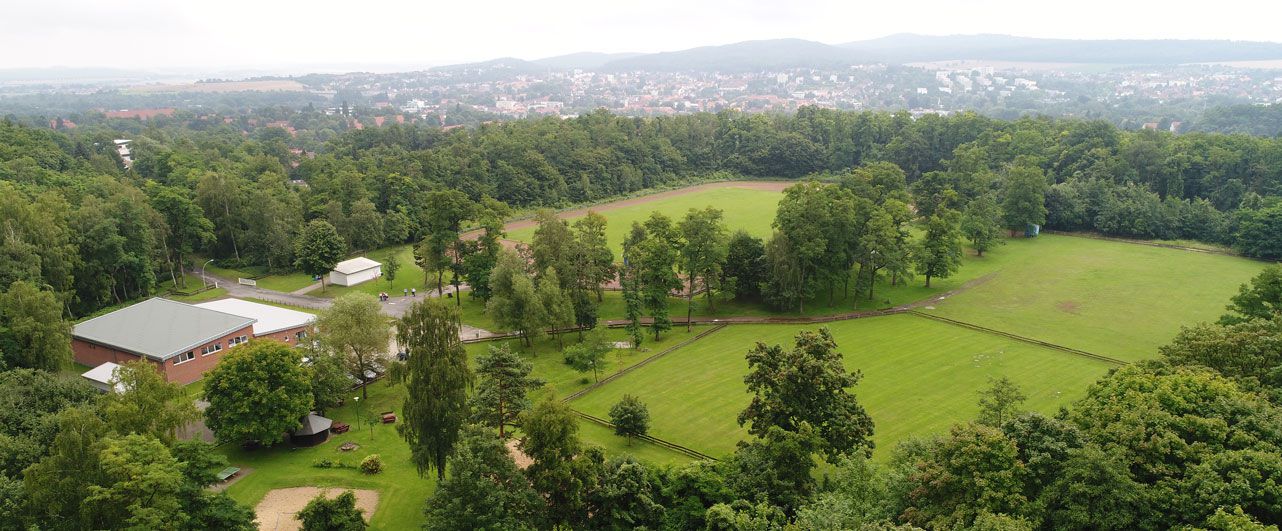 Image with missing alt attribute found on mtv-salzgitter.de