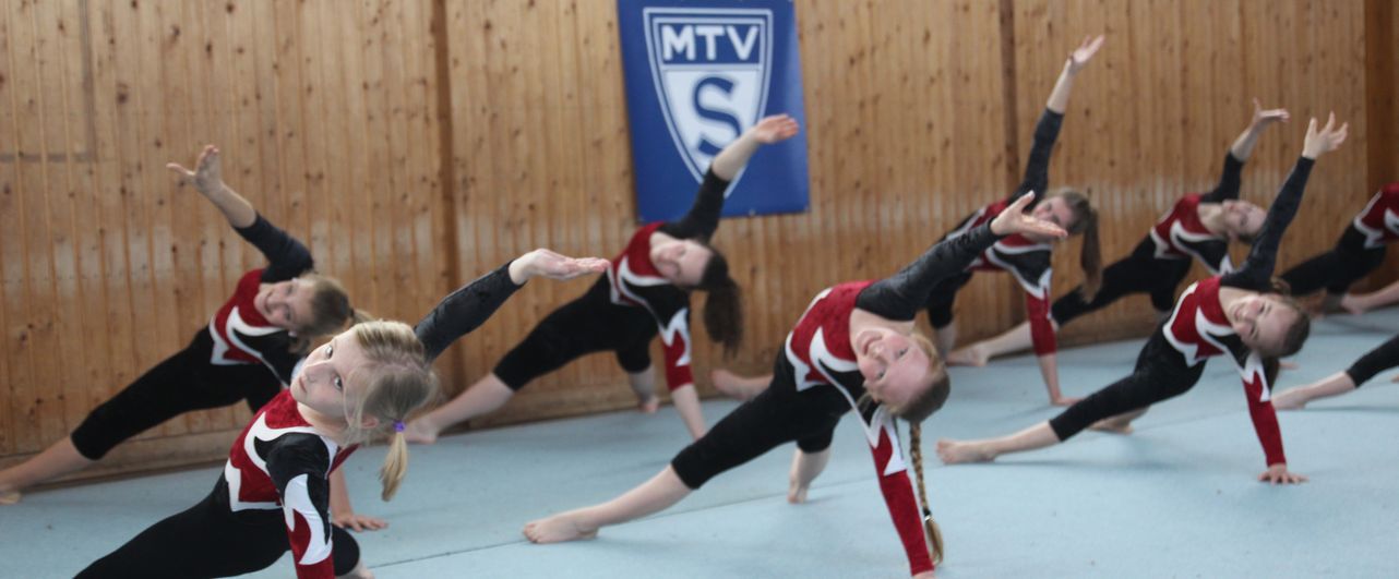 Image with missing alt attribute found on mtv-salzgitter.de