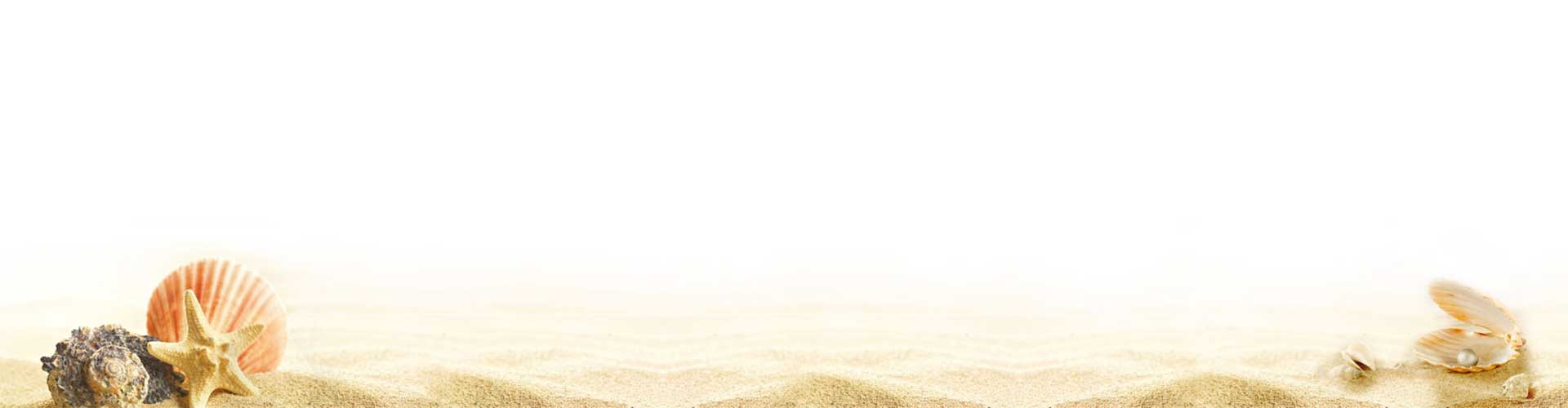 Image with missing alt attribute found on myholidayhappiness.com