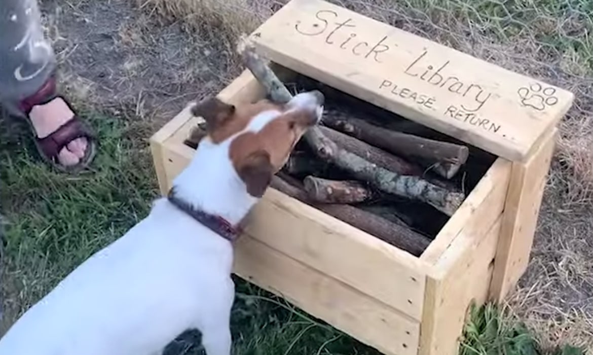 Image with missing alt attribute found on mymodernmet.com