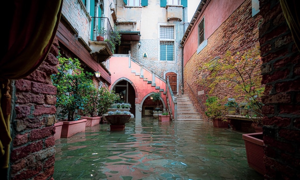 Image with missing alt attribute found on mymodernmet.com