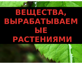 Image with missing alt attribute found on mypresentation.ru