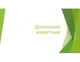 Image with missing alt attribute found on mypresentation.ru