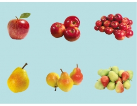 Image with missing alt attribute found on mypresentation.ru