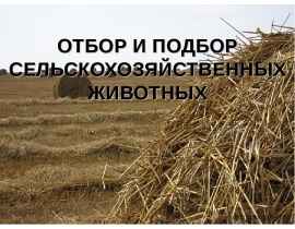 Image with missing alt attribute found on myslide.ru