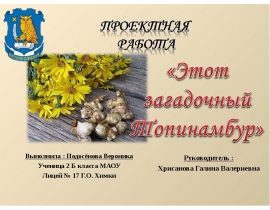 Image with missing alt attribute found on myslide.ru