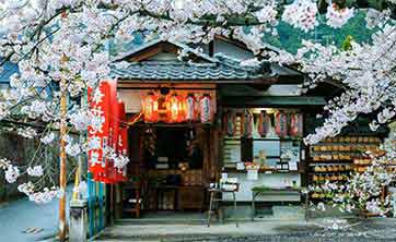 Image with missing alt attribute found on codespromofr.com