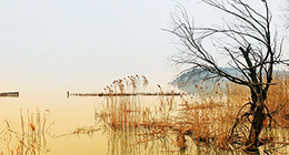 Image with missing alt attribute found on mafengwo.cn