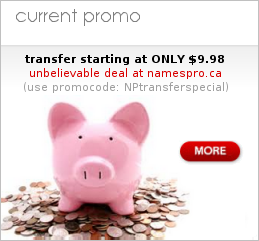 Image with missing alt attribute found on namespro.ca