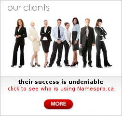 Image with missing alt attribute found on namespro.ca
