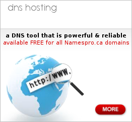 Image with missing alt attribute found on namespro.ca